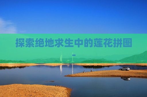 探索绝地求生中的莲花拼图-