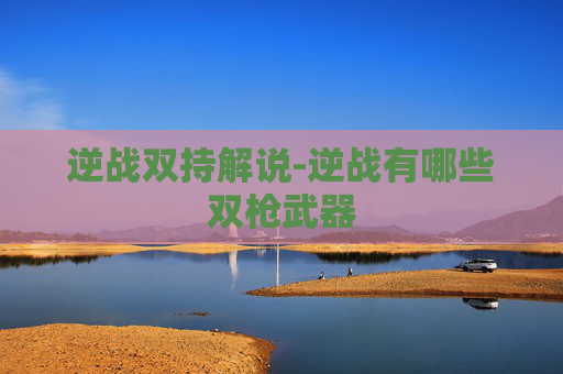 逆战双持解说-逆战有哪些双枪武器