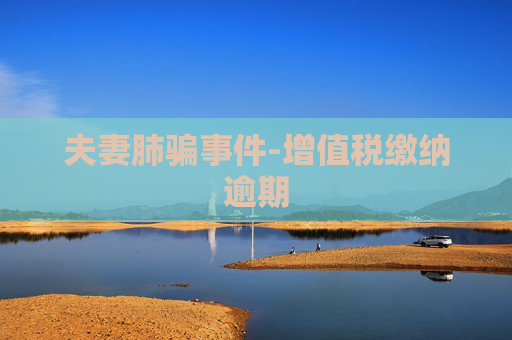 夫妻肺骗事件-增值税缴纳逾期
