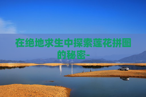 在绝地求生中探索莲花拼图的秘密-