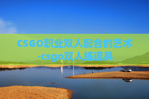 CSGO职业双人配合的艺术-csgo双人练道具