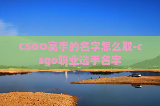 CSGO高手的名字怎么取-csgo职业选手名字