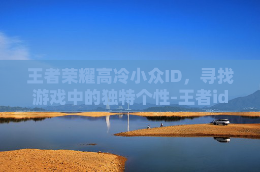 王者荣耀高冷小众ID，寻找游戏中的独特个性-王者id小众高级