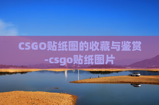 CSGO贴纸图的收藏与鉴赏-csgo贴纸图片