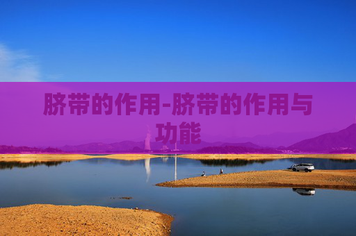 脐带的作用-脐带的作用与功能