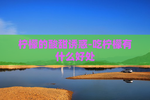 柠檬的酸甜诱惑-吃柠檬有什么好处