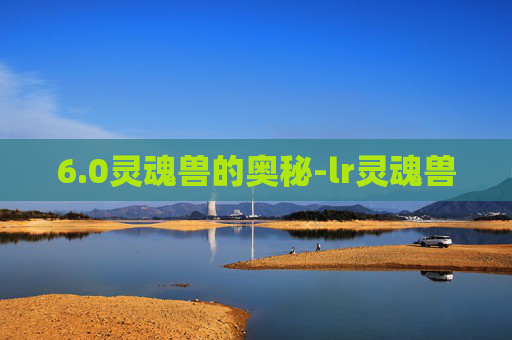 6.0灵魂兽的奥秘-lr灵魂兽