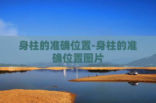 身柱的准确位置-身柱的准确位置图片