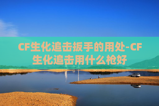CF生化追击扳手的用处-CF生化追击用什么枪好