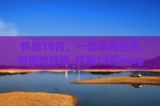 怀胎10月，一段孕育生命的奇妙旅程-怀胎10月vlog