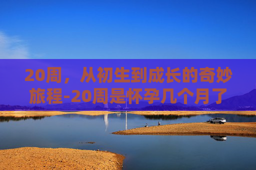 20周，从初生到成长的奇妙旅程-20周是怀孕几个月了