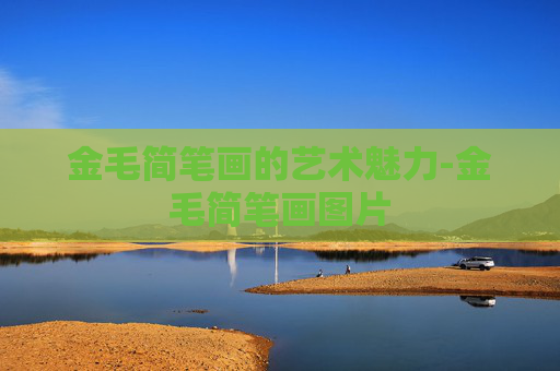 金毛简笔画的艺术魅力-金毛简笔画图片