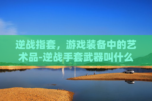 逆战指套，游戏装备中的艺术品-逆战手套武器叫什么