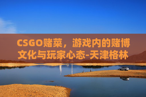 CSGO赌菜，游戏内的赌博文化与玩家心态-天津格林国际幼儿园学费
