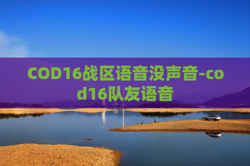 COD16战区语音没声音-cod16队友语音