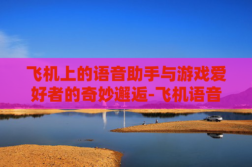 飞机上的语音助手与游戏爱好者的奇妙邂逅-飞机语音播报台词