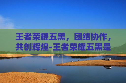 王者荣耀五黑，团结协作，共创辉煌-王者荣耀五黑是什么意思
