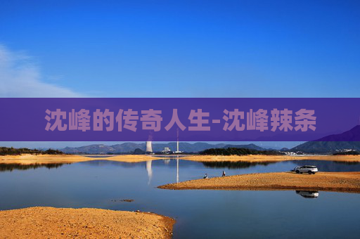沈峰的传奇人生-沈峰辣条