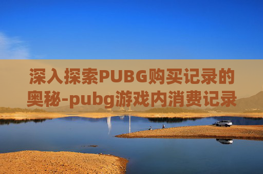 深入探索PUBG购买记录的奥秘-pubg游戏内消费记录查询