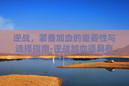 逆战，装备加血的重要性与选择指南-逆战加血道具有哪些