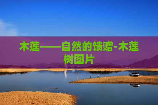 木莲——自然的馈赠-木莲树图片