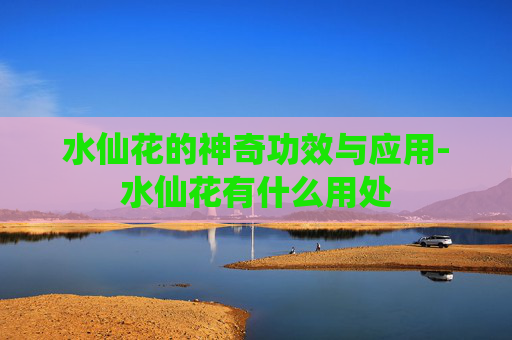 水仙花的神奇功效与应用-水仙花有什么用处