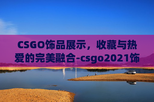 CSGO饰品展示，收藏与热爱的完美融合-csgo2021饰品