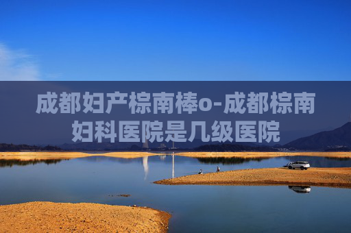 成都妇产棕南棒o-成都棕南妇科医院是几级医院