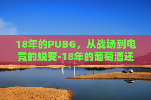 18年的PUBG，从战场到电竞的蜕变-18年的葡萄酒还能喝吗