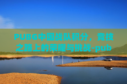 PUBG中国战队积分，竞技之路上的荣耀与挑战-pubg战队等级分别