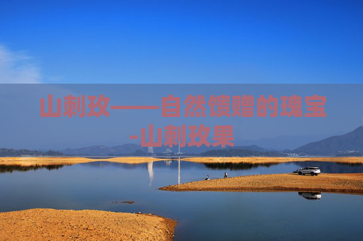 山刺玫——自然馈赠的瑰宝-山刺玫果