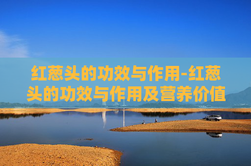 红葱头的功效与作用-红葱头的功效与作用及营养价值