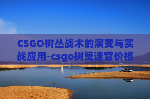 CSGO树丛战术的演变与实战应用-csgo树篱迷宫价格
