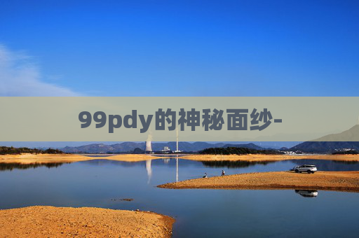 99pdy的神秘面纱-