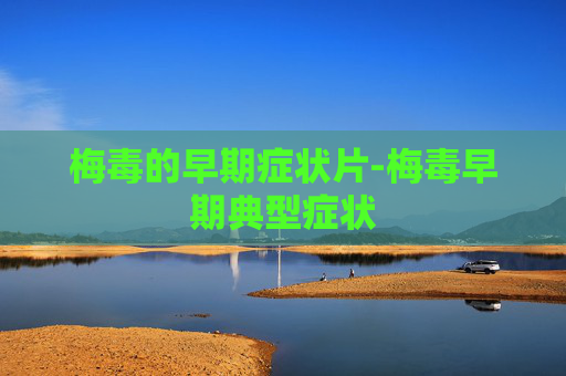 梅毒的早期症状片-梅毒早期典型症状
