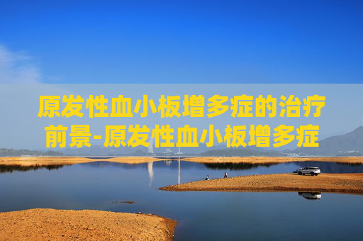 原发性血小板增多症的治疗前景-原发性血小板增多症最新疗法