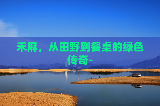 禾麻，从田野到餐桌的绿色传奇-