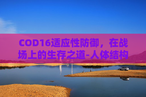 COD16适应性防御，在战场上的生存之道-人体结构几何体速写