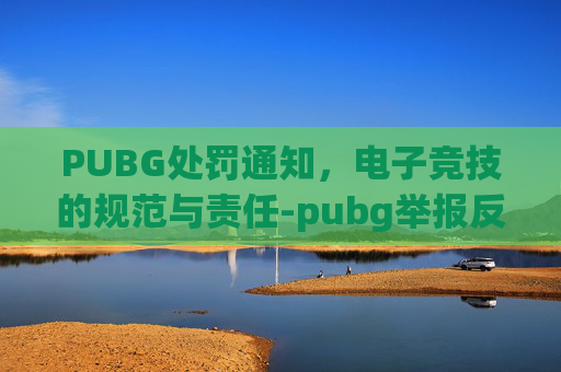 PUBG处罚通知，电子竞技的规范与责任-pubg举报反馈要多久