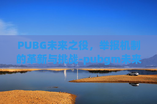 PUBG未来之役，举报机制的革新与挑战-pubgm未来之役