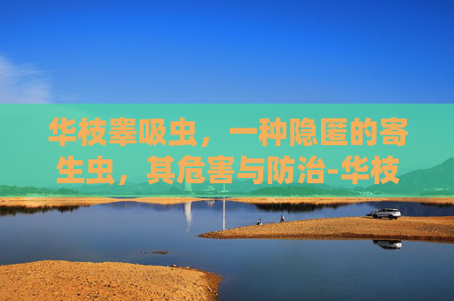 华枝睾吸虫，一种隐匿的寄生虫，其危害与防治-华枝睾吸虫拼音