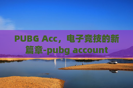 PUBG Acc，电子竞技的新篇章-pubg account