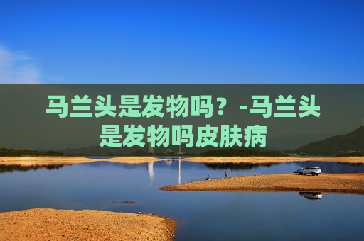 马兰头是发物吗？-马兰头是发物吗皮肤病