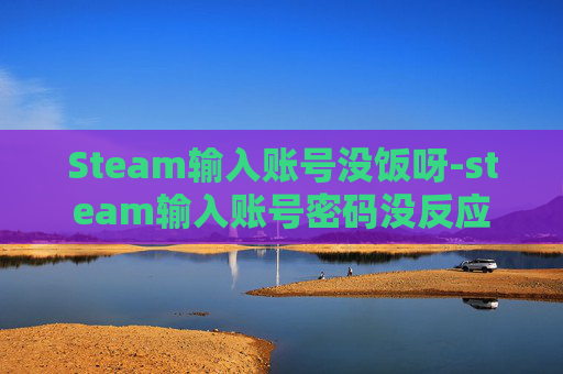 Steam输入账号没饭呀-steam输入账号密码没反应
