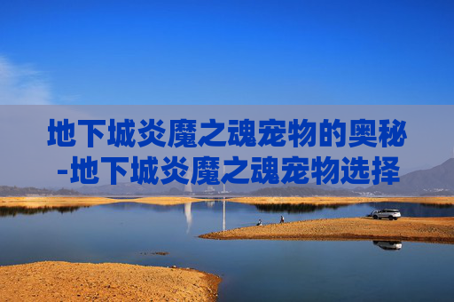 地下城炎魔之魂宠物的奥秘-地下城炎魔之魂宠物选择