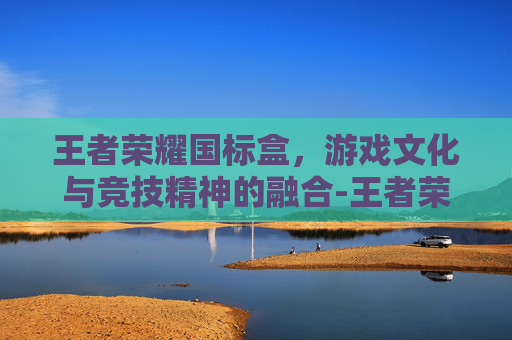 王者荣耀国标盒，游戏文化与竞技精神的融合-王者荣耀国标盒怎么获得