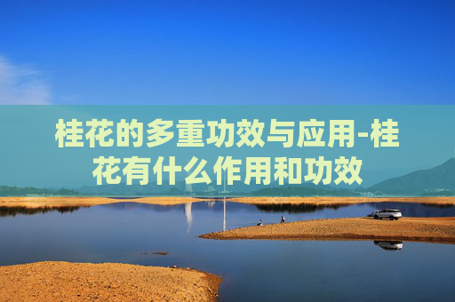桂花的多重功效与应用-桂花有什么作用和功效