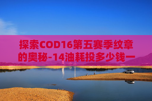 探索COD16第五赛季纹章的奥秘-14油耗投多少钱一公里