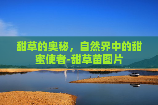 甜草的奥秘，自然界中的甜蜜使者-甜草苗图片