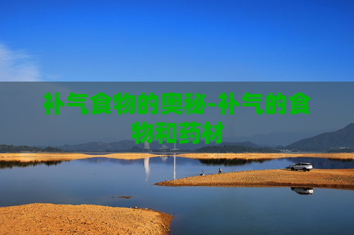 补气食物的奥秘-补气的食物和药材